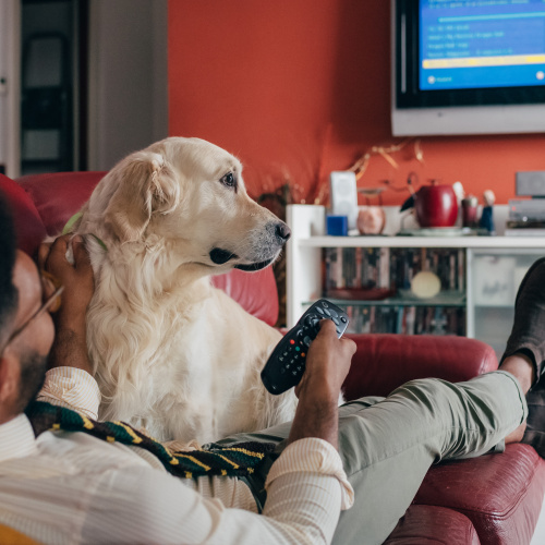 How TV Advertising Builds Streaming Audiences and Creates Engagement Opportunities